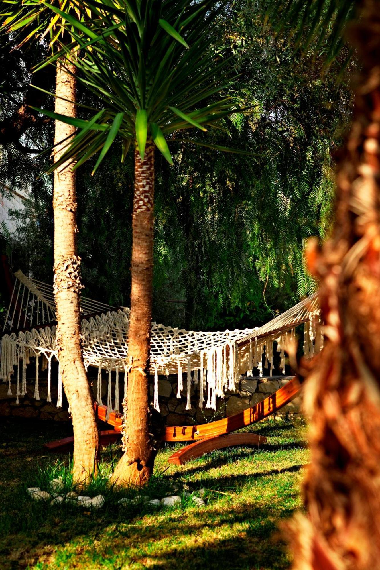 Olea Nova Hotel Kaş Esterno foto